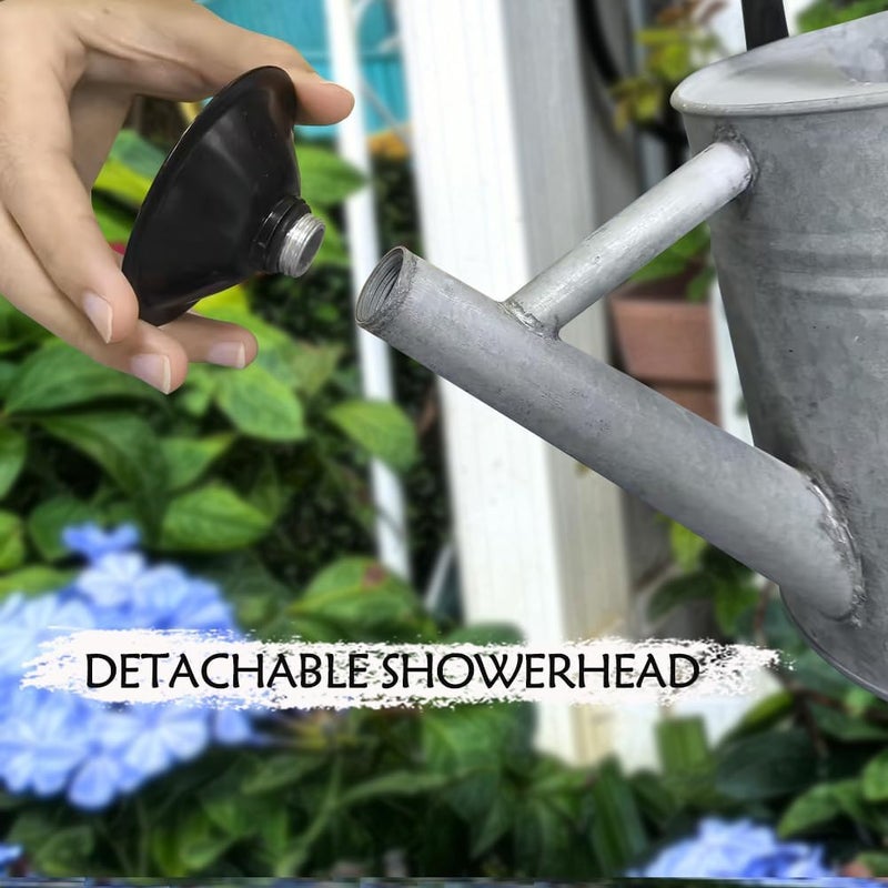 yourjoy Metal Watering Can, One Gallon Watering Cans Stainless Steel for Outdoor Indoor Garden Plants Watering (Silver 1 Gallon) - Image 3